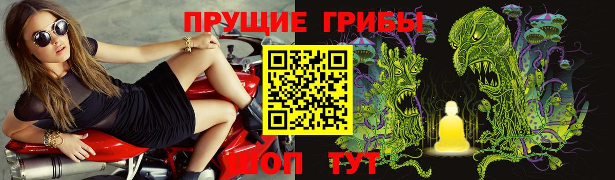 Зеленокумск  Псилоцибиновые грибы Psilocybe  Вход с VPN  Псилоцибиновые грибы Psilocybine cubensis 